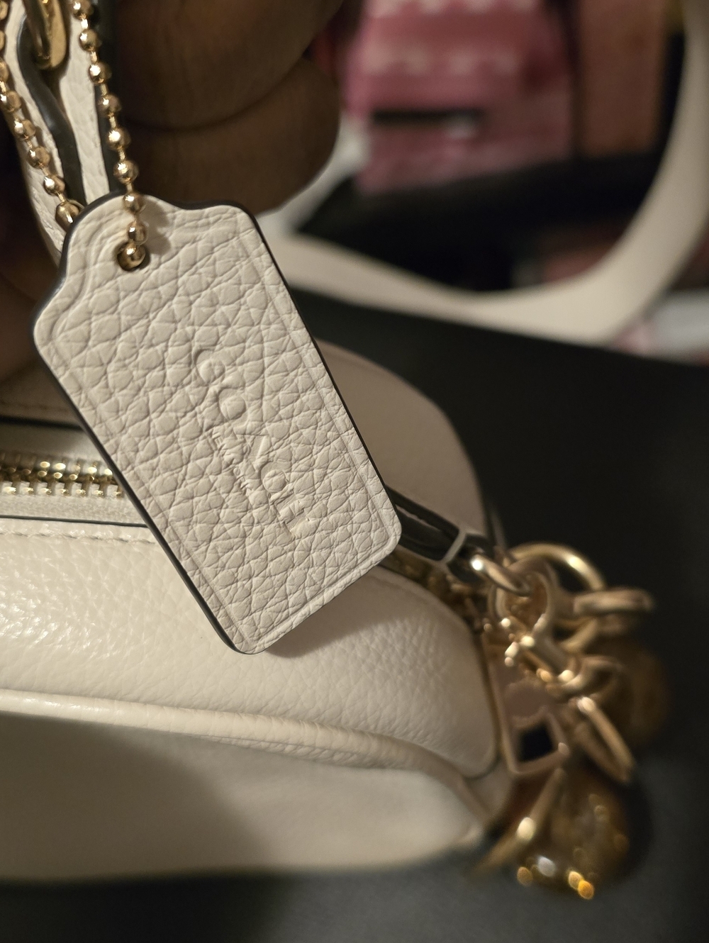 Coach Jamie Camera Bag+Gold cherry key - Picture 6 of 11